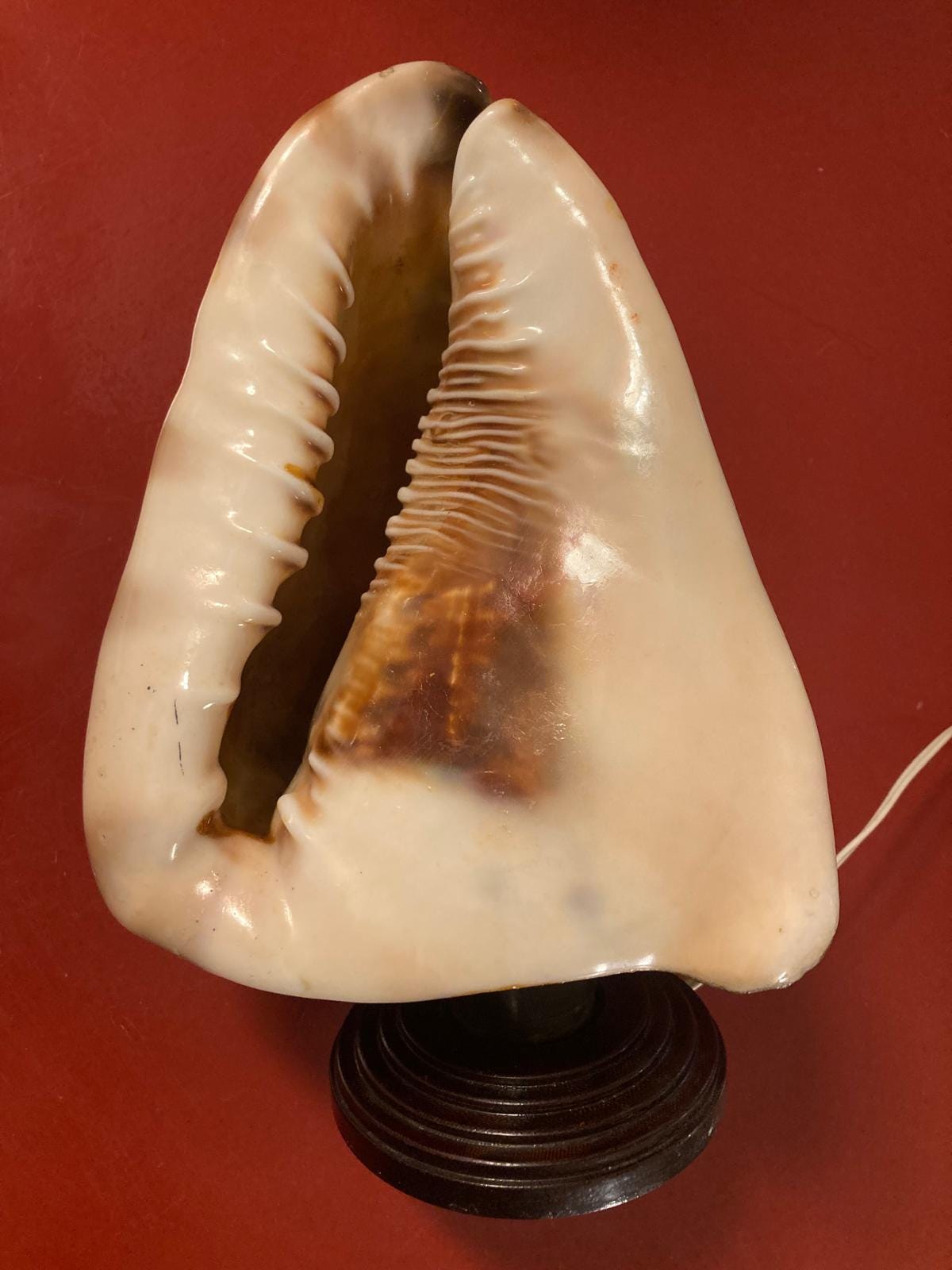 Lampada a conchiglia Made in Italy anni ’50