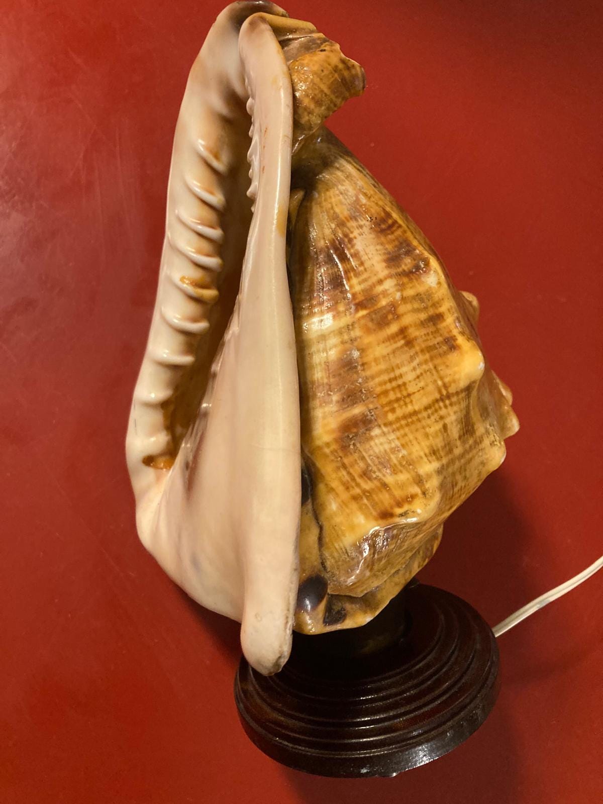 Lampada a conchiglia Made in Italy anni ’50