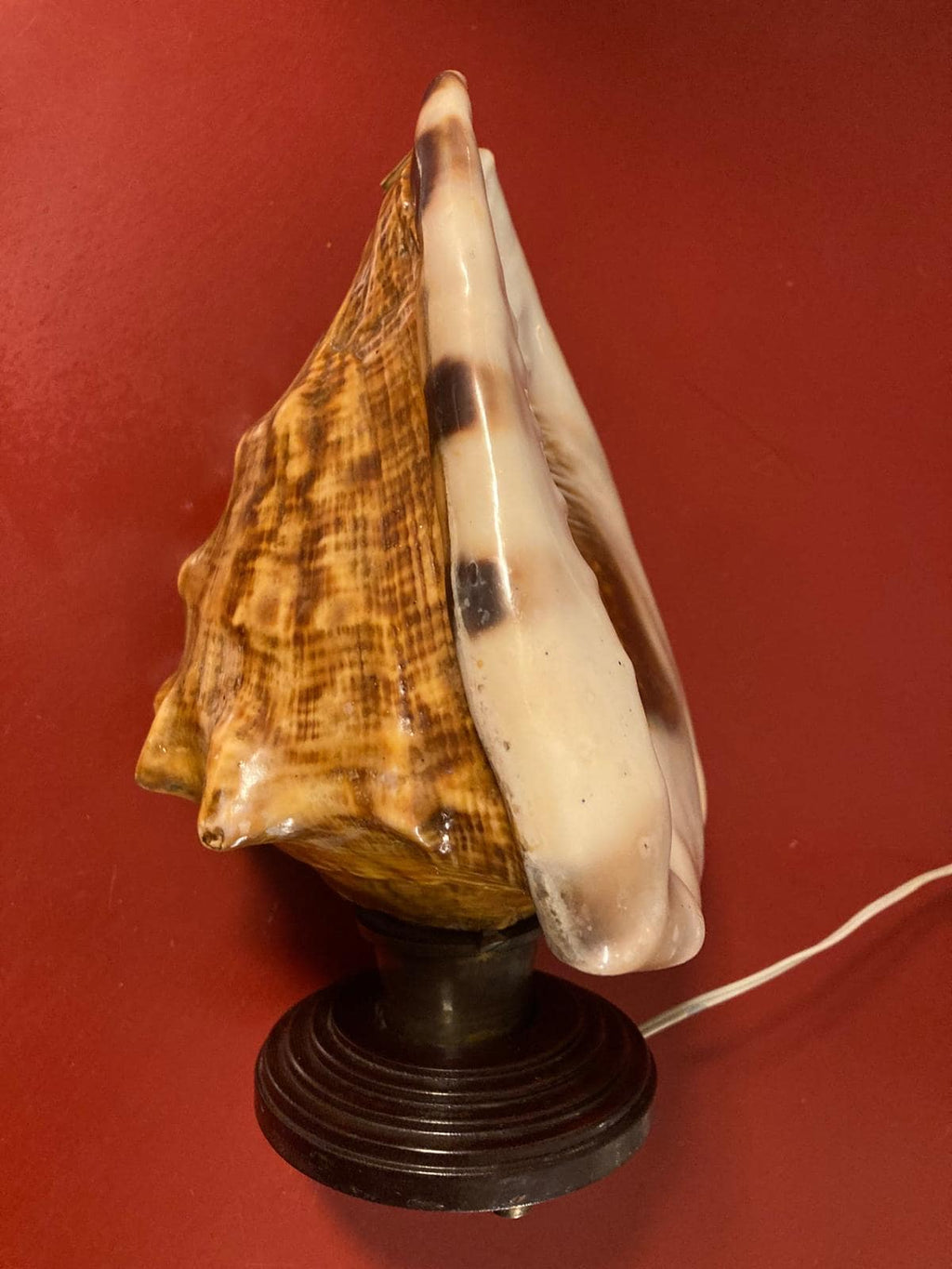 Lampada a conchiglia Made in Italy anni ’50